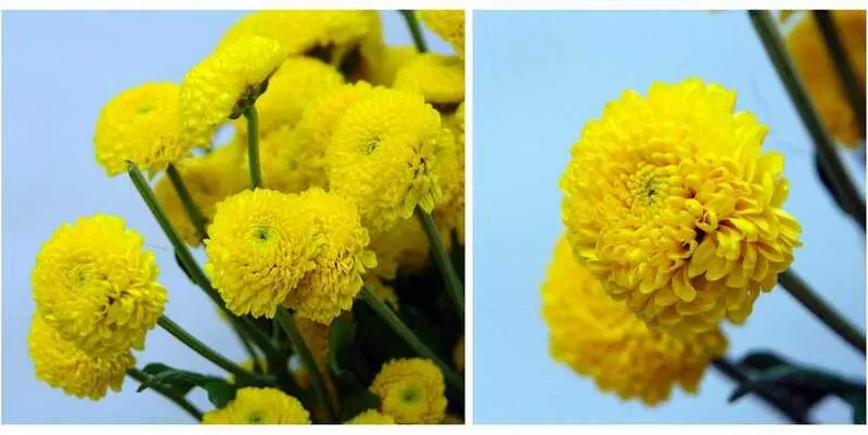 Пейнтбол желтая